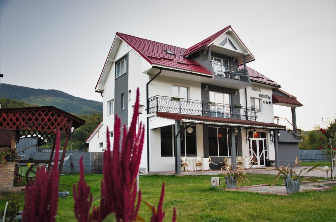 Casa Sonya Appartement Aninoasa Buitenkant foto